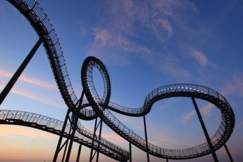 Cataplexy and Rollercoasters